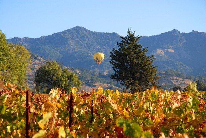 A hot air balloon peacefully soars over a vineyard in Napa Valley, California.