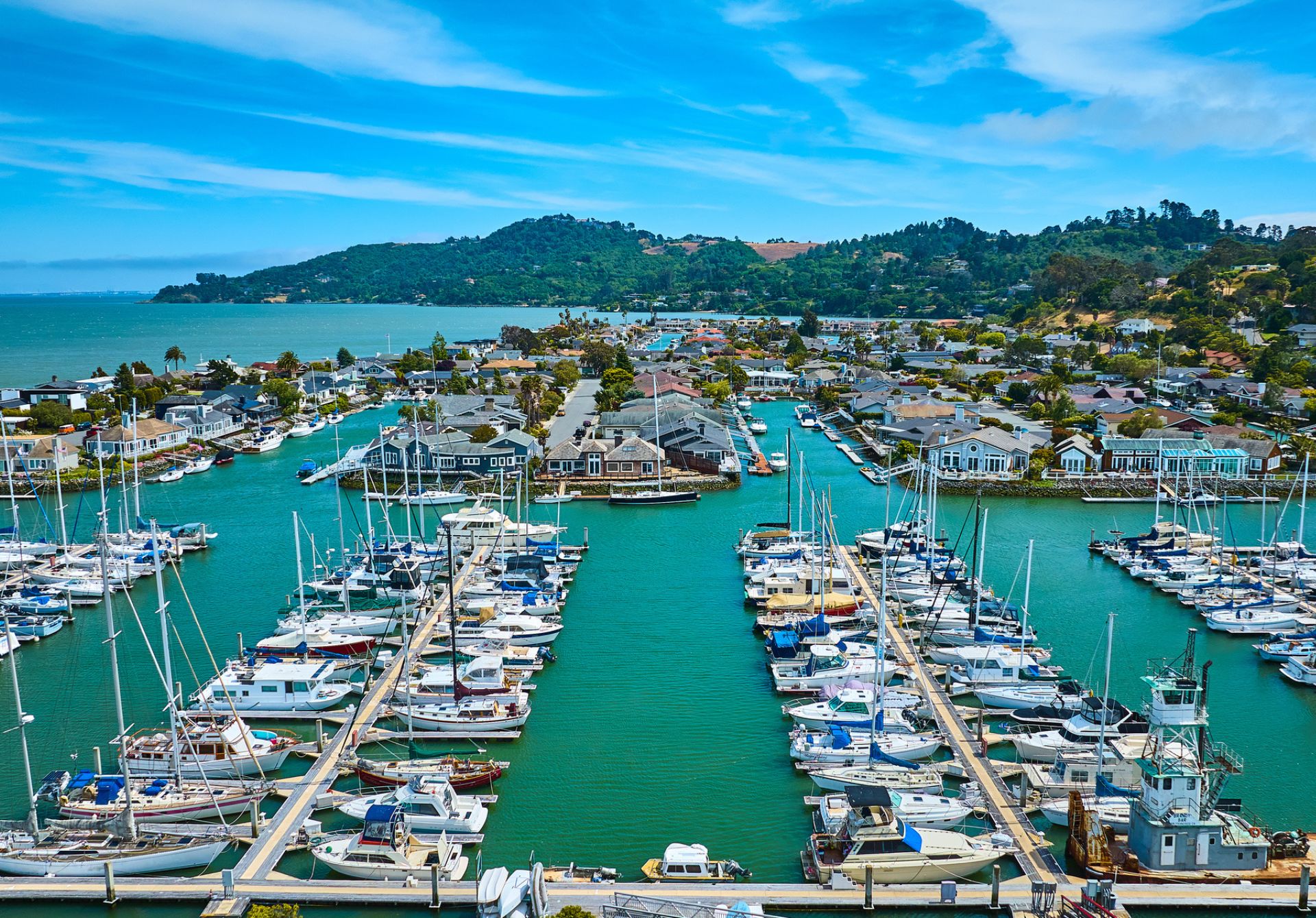Image of Aerial View Of Tiburon Yacht Club